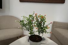 Apartamento en Córdoba - Villas de Viana 2